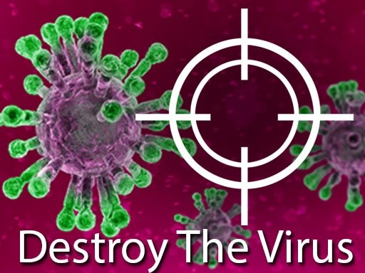 Destroy The Corona Virus